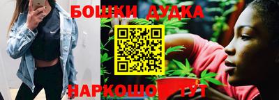 шишки Заволжье