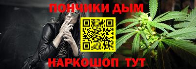 шишки Заволжье