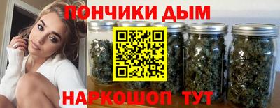 шишки Заволжье