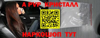 шишки Заволжье