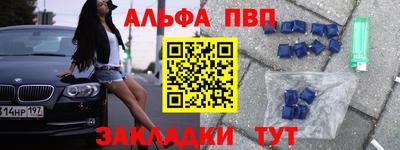 шишки Заволжье